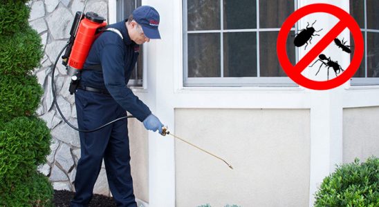 Bandırma Karınca İlaçlama böcek ilaçlama ve haşere kontrolü — ilaclama-tr.com
